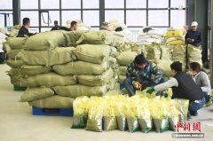 甘肃陇西：“太空育种+智能管护”赋能中药材种子